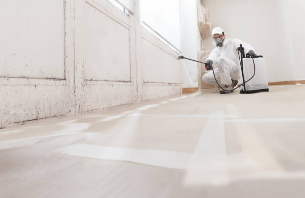 24/7 Emergency Commercial Mold Remediation experts in Linden, NC