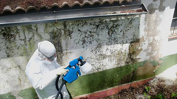 Top rated local Commercial Mold Remediation specialists in Linden, NC